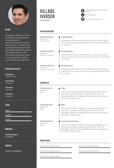 CV for webudvikler