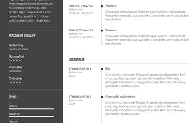 CV for dataanalytiker | Skabeloner, tips og tricks til at lykkes