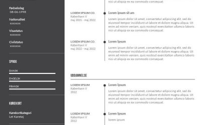 Nem guide til et godt scrum master CV